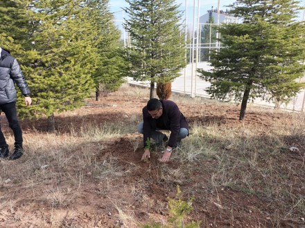 Her Çalışan Bir Fidan